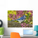 Blue Jay In Backyard Garden In Autumn, Nova Scotia Wall Mural