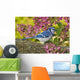Blue Jay In Backyard Garden In Autumn, Nova Scotia Wall Mural