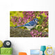 Blue Jay In Backyard Garden In Autumn, Nova Scotia Wall Mural