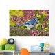 Blue Jay In Backyard Garden In Autumn, Nova Scotia Wall Mural
