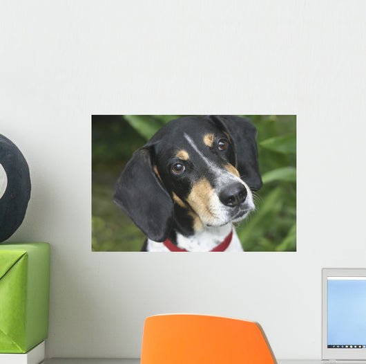 Hound Dog Wall Mural