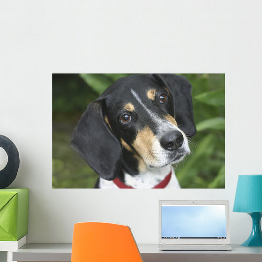 Hound Dog Wall Mural