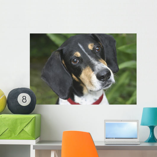 Hound Dog Wall Mural