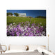 Phlox Flowers Growing Along Roadside, Clinton, Prince Edward Island Wall Mural