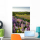 Lupins And Phlox Flowers, Clinton, Prince Edward Island Wall Mural