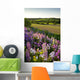 Lupins And Phlox Flowers, Clinton, Prince Edward Island Wall Mural