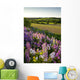 Lupins And Phlox Flowers, Clinton, Prince Edward Island Wall Mural
