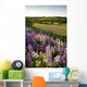 Lupins And Phlox Flowers, Clinton, Prince Edward Island Wall Mural