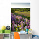 Lupins And Phlox Flowers, Clinton, Prince Edward Island Wall Mural