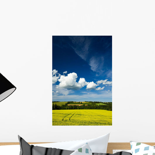 Dramatic Cumulus Clouds Over Canola Field Wall Mural