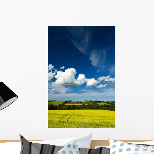 Dramatic Cumulus Clouds Over Canola Field Wall Mural
