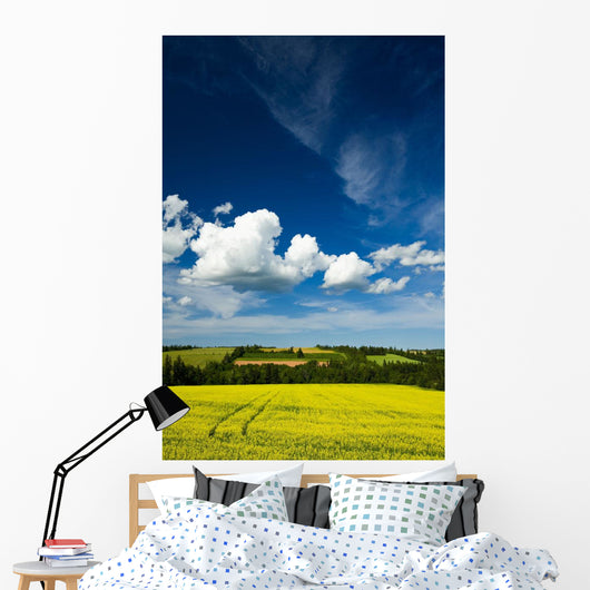 Dramatic Cumulus Clouds Over Canola Field Wall Mural