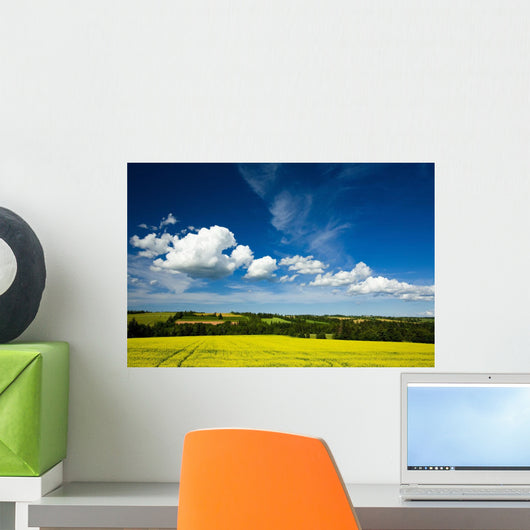 Dramatic Cumulus Clouds Over Canola Field Wall Mural