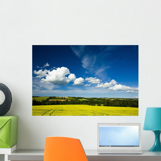 Dramatic Cumulus Clouds Over Canola Field Wall Mural