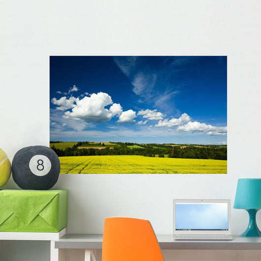 Dramatic Cumulus Clouds Over Canola Field Wall Mural