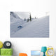 Skier Shredding Powder Below Nak Peak Wall Mural