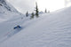Skier Shredding Powder Below Nak Peak Wall Mural