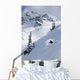 Skier Hitting Powder Below Nak Peak Wall Mural