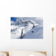 Skier Shredding Powder Below Nak Peak Wall Mural