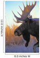 Tk0235, Thomas Kitchin Wall Mural