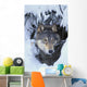 Tk0530, Thomas Kitchin Wall Mural