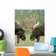 Tk0550, Thomas Kitchin Wall Mural