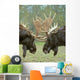 Tk0550, Thomas Kitchin Wall Mural