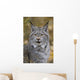 Tk0568, Thomas Kitchin Wall Mural