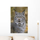 Tk0568, Thomas Kitchin Wall Mural