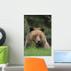Tk0604, Thomas Kitchin Wall Mural