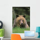 Tk0604, Thomas Kitchin Wall Mural