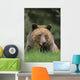 Tk0604, Thomas Kitchin Wall Mural