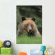 Tk0604, Thomas Kitchin Wall Mural