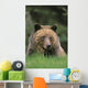 Tk0604, Thomas Kitchin Wall Mural