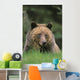Tk0604, Thomas Kitchin Wall Mural