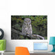 Tk0662, Thomas Kitchin Wall Mural