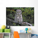 Tk0662, Thomas Kitchin Wall Mural