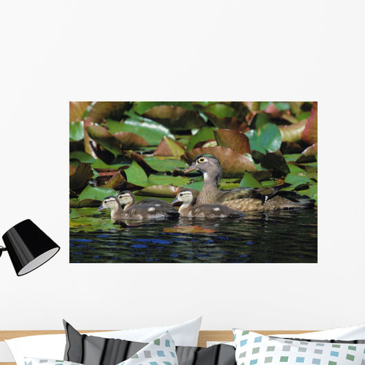 Tk0719, Thomas Kitchin Wall Mural