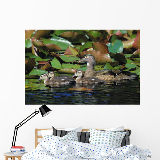 Tk0719, Thomas Kitchin Wall Mural