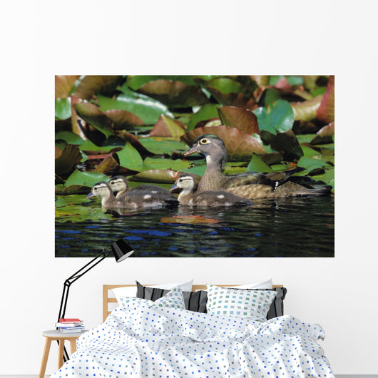Tk0719, Thomas Kitchin Wall Mural