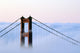 San Francisco, Golden Gate Bridge, Morning Fog, Ca Wall Mural