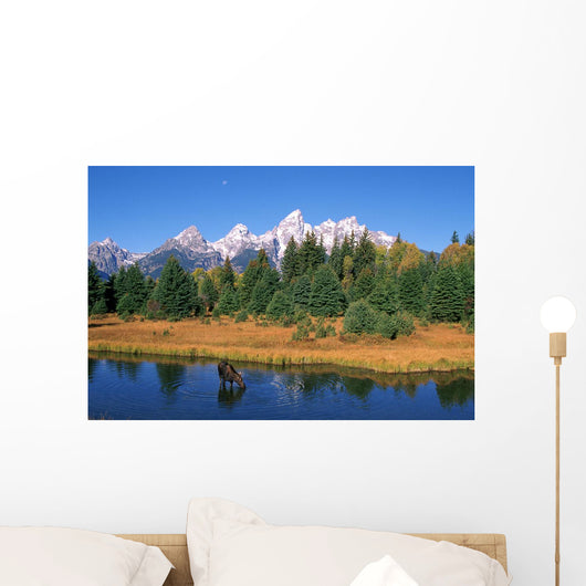 RWatts Wall Mural