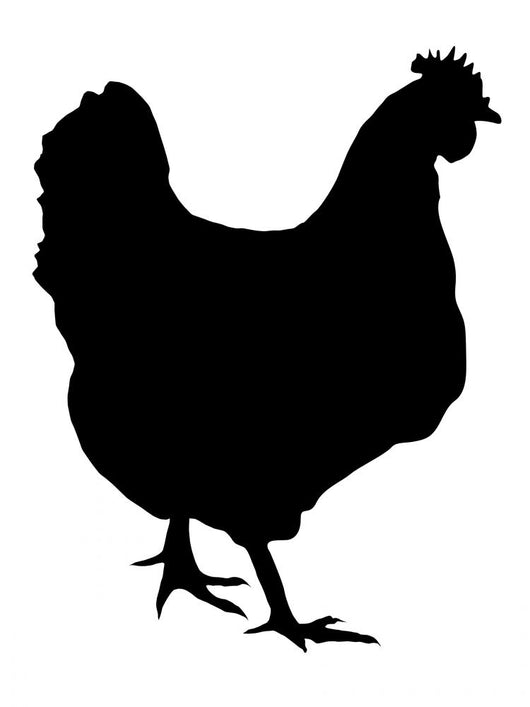 Silhouette Hen