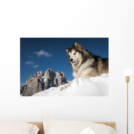 The King of the Mountain Wall Mural