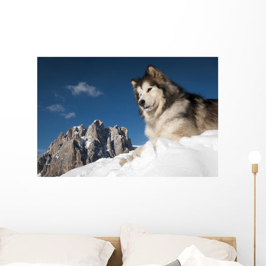 The King of the Mountain Wall Mural