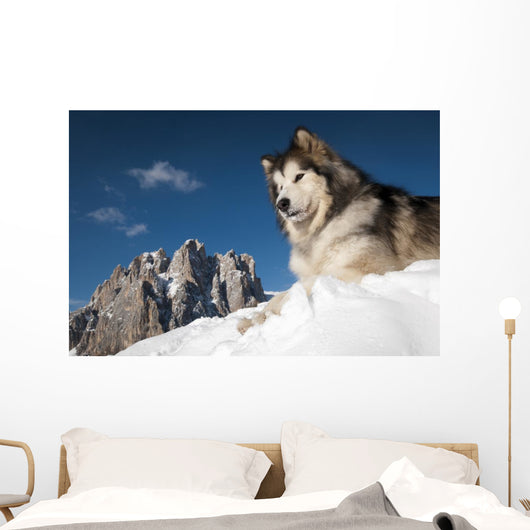 The King of the Mountain Wall Mural