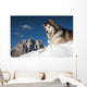The King of the Mountain Wall Mural