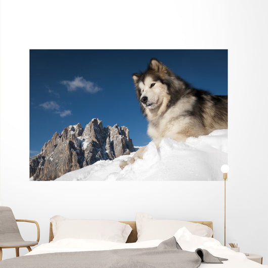 The King of the Mountain Wall Mural