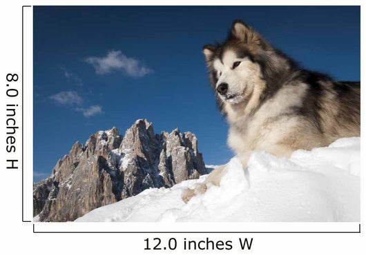 The King of the Mountain Wall Mural