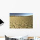 Dried out Floor Sossusvlei Wall Decal